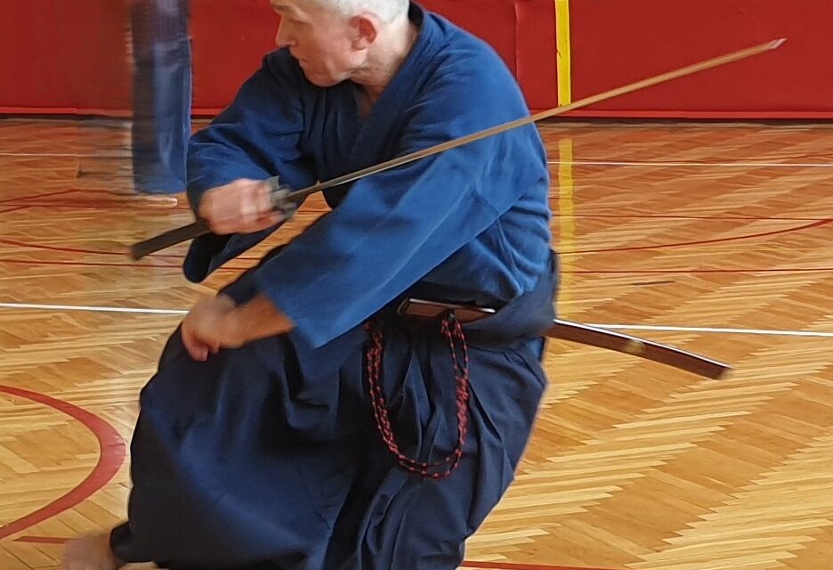 Noworoczny staż Mugen Shinto Ryu Iaijutsu.